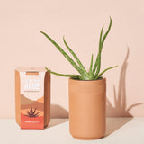 Healing Aloe Hydro Grow Kit