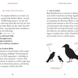 Bird Watching – Press Pause and Admire the Avian World: Pocket Nature Book