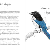 A Dumb Birds Field Guide to the Worst Birds Ever Book