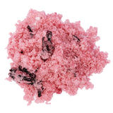 Hibiscus Lime Cocktail Rimming Sugar