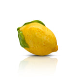 Nora Fleming Lemon Squeeze Decorative Mini
