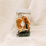 Camp Craft Sangria Cocktail Infusion Kit