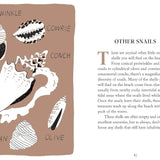 Pocket Nature Series: Beachcombing