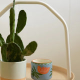 Paddywax A Dopo Cactus Flower Candle