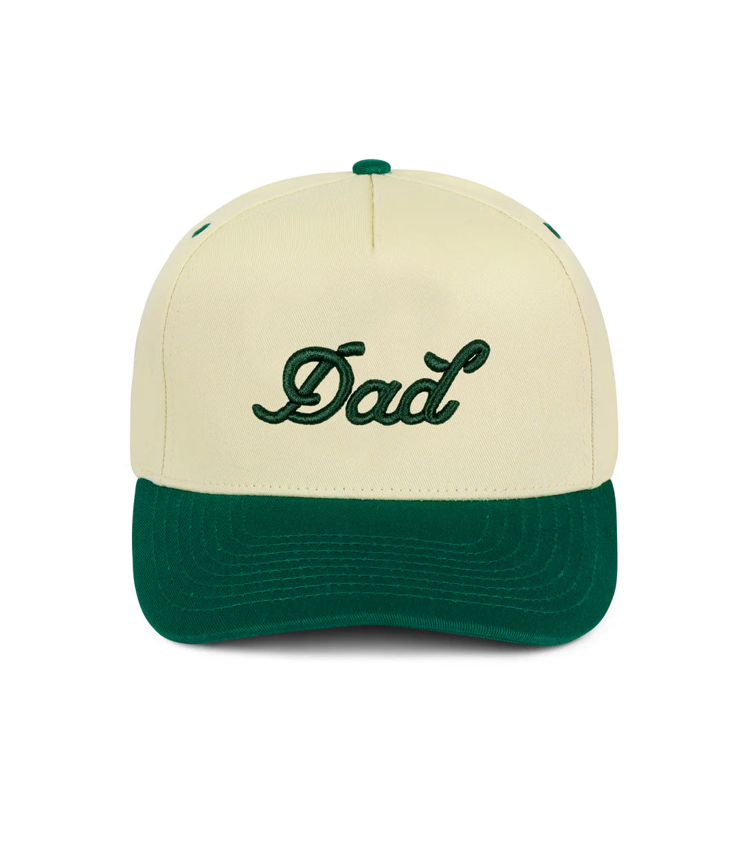 Dad Snapback Hat, Green