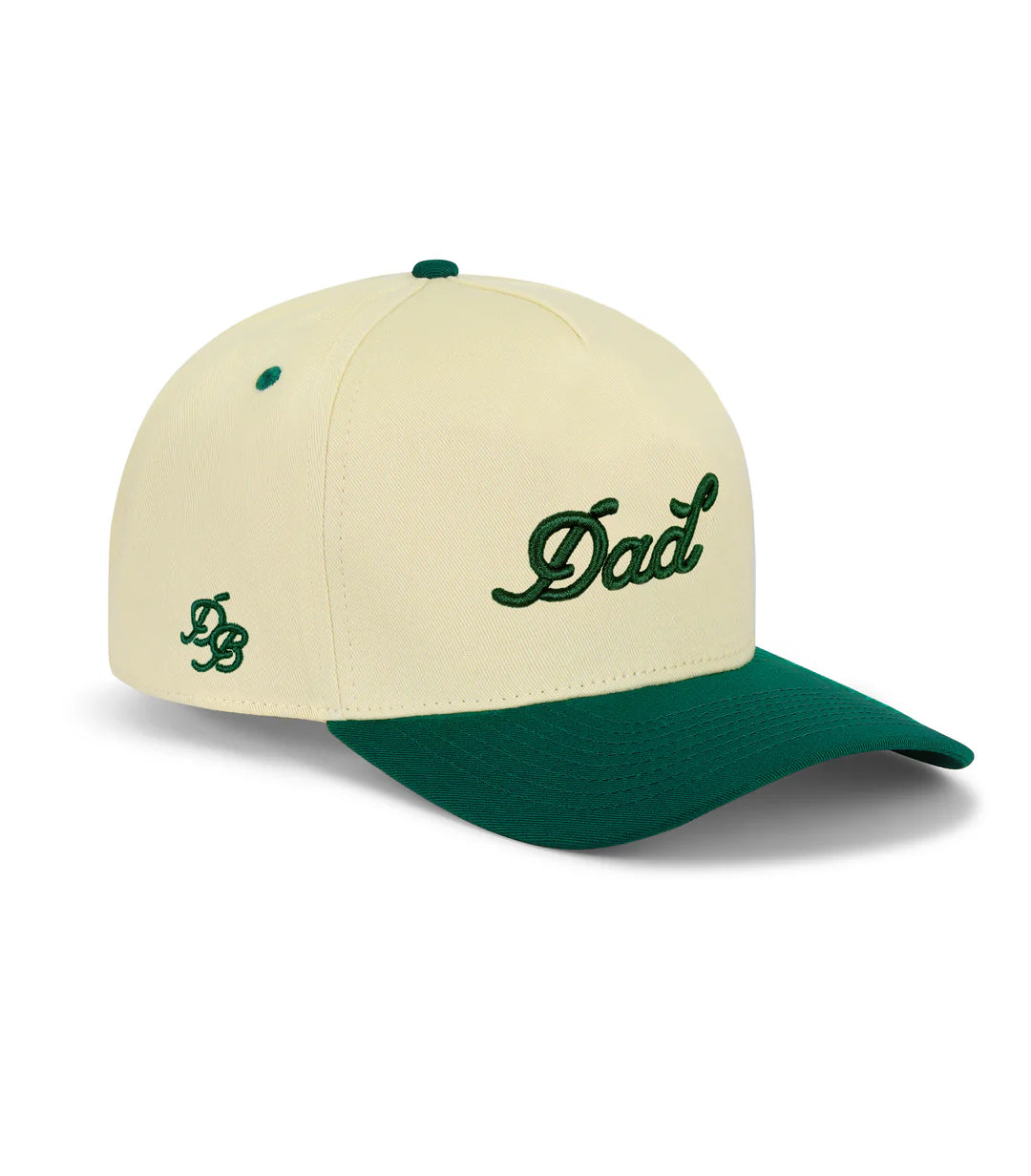 Dad Snapback Hat, Green
