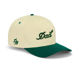 Dad Snapback Hat, Green