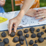 Grow Your Own Pizza Garden, DIY Seed Ball Kit