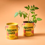 Awesome Sauce Cherry Tomato Grow Kit