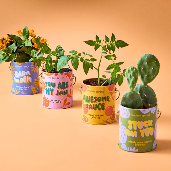 Awesome Sauce Cherry Tomato Grow Kit