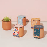 Thank You Daisies Tiny Terracotta Grow Kit