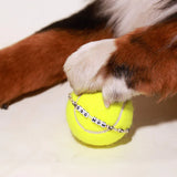 Little Words Project, Dog Mom Bracelet (M/L)