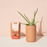 Healing Aloe Hydro Grow Kit