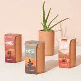 Healing Aloe Hydro Grow Kit