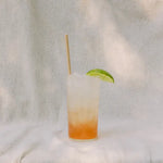 Camp Craft Lavender Lemonade Cocktail Infusion Kit