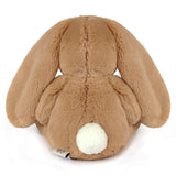 Bailey Bunny Stuffed Animal