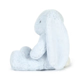 Baxter the Blue Bunny Stuffed Animal