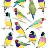 Bird Box: 100 Postcards by 10 Artists