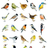 Bird Box: 100 Postcards by 10 Artists
