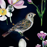 Bird Box: 100 Postcards by 10 Artists