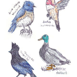 Field Guide To Dumb Birds Sticker Book: 100+ Stickers of the Dumbest Birds