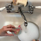 Natural Life Cottage Puff Up Sponges, Set of 5