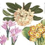 Flowers and Their Meanings: The Secret Language and History of Over 600 Blooms Book