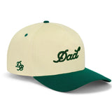 Dad, Snapback Embroidered Hat