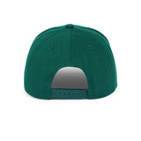Dad, Snapback Hat
