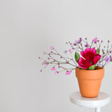 Can You Dig It? (Terracotta Pot), Nora Fleming Decorative Mini