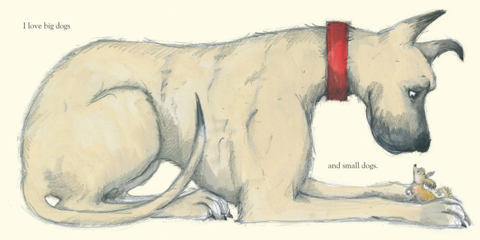 DOGS by Emily Gravett, Children's Book