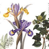 Flowers and Their Meanings: The Secret Language and History of Over 600 Blooms Book