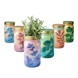 Lavender Hydroponic Grow Kit