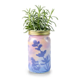 Lavender Hydroponic Grow Kit