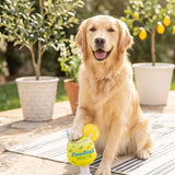 Haute Diggity Dog Limuttcello Spritz Dog Toy