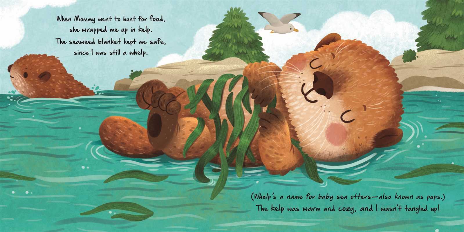 Little Otter, Children's Book