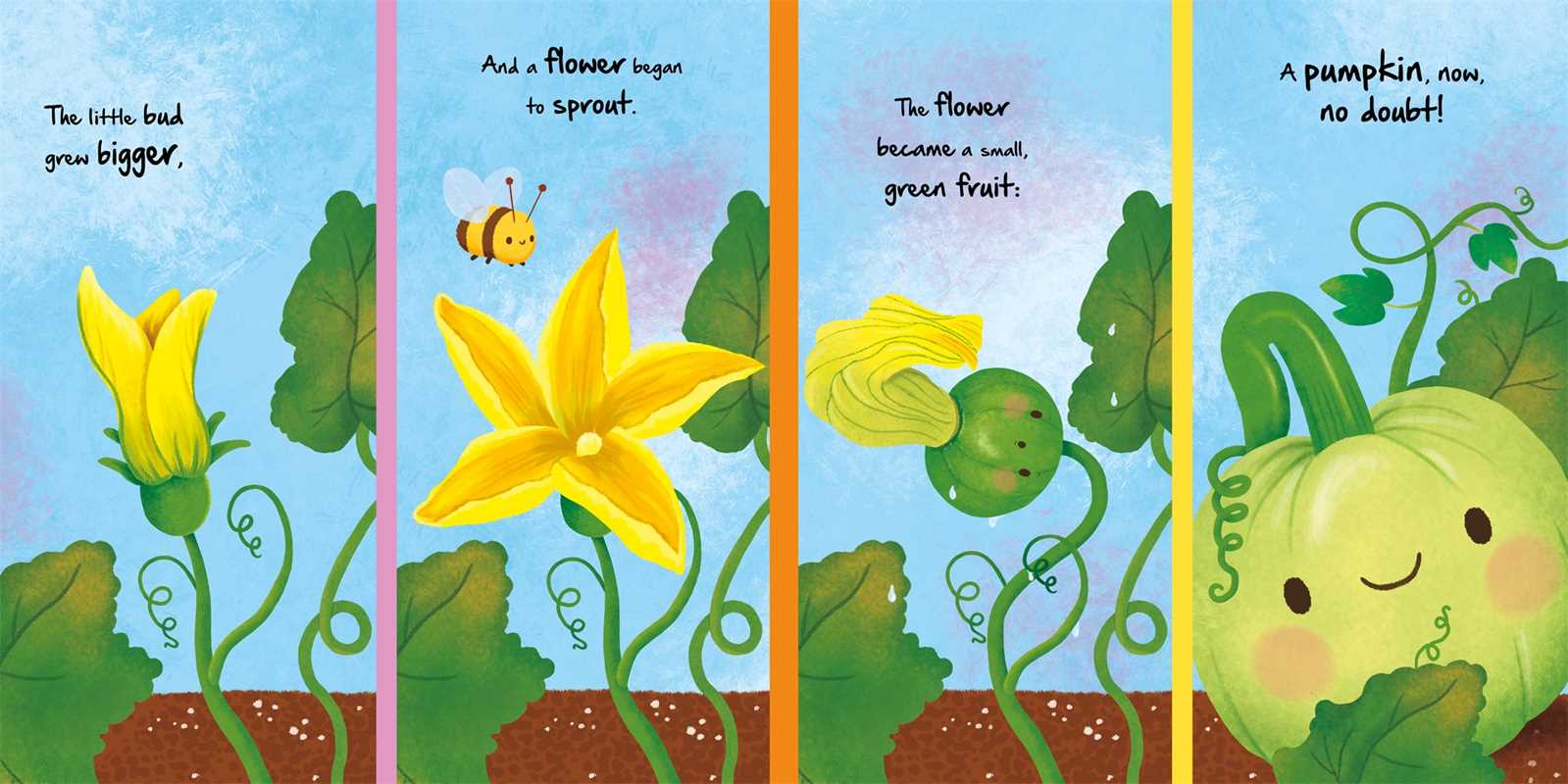 Nature Stories: Little Pumpkin, Children's Book
