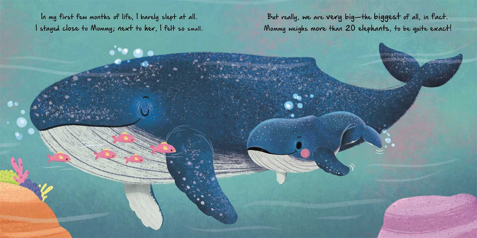 Nature Stories: Little Whale, Children's Book
