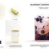 Mocktails: Non-Alcoholic Cocktails with Taste and Style