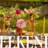 Nights and Weekends Cookbook: Recipes that Make the Most of Your Time