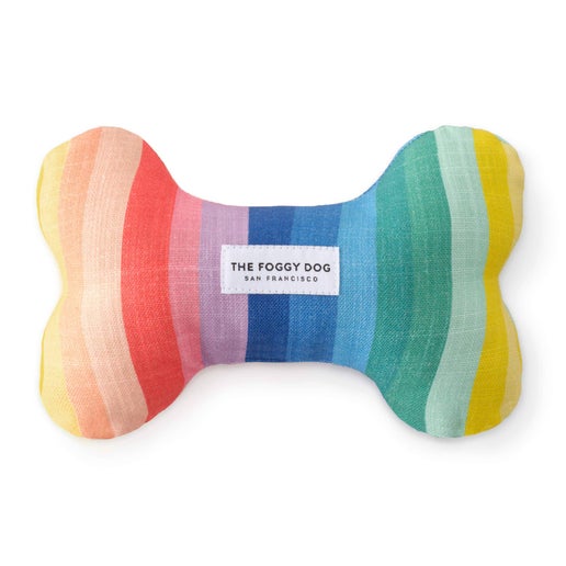Rainbow Bone Dog Toy