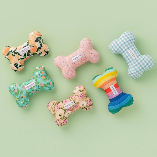 Rainbow Bone Dog Toy