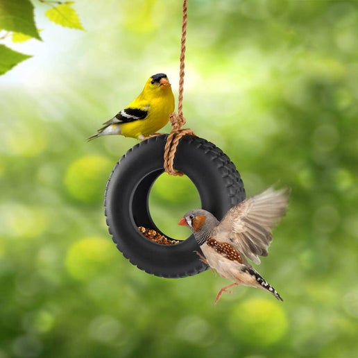 Bird Feeder Swing Time