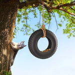 Bird Feeder Swing Time