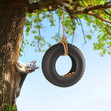 Bird Feeder Swing Time