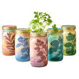 Parsley Hydroponic Grow Kit