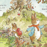 Peter Rabbit: Trick or Treat, Children's Book