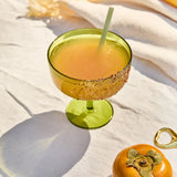 The Rue Margarita Glass, Set of 4 (Acrylic)