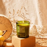 REWINED Sauvignon Blanc Candle, 10oz.