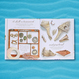 A Shell is Cozy, Children's Book